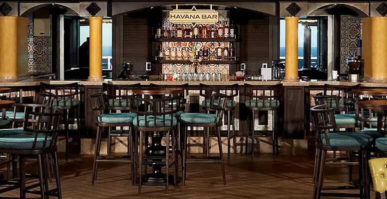 Single and mingle cruise Single and mingle cruise